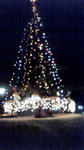 200812251745000.jpg