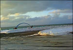 201001b.jpg