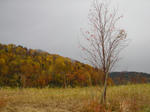DSC02822.JPG