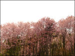 20120515.jpg
