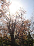 201305blo.jpg