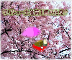 sakura.jpg