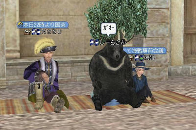 kuma.JPG