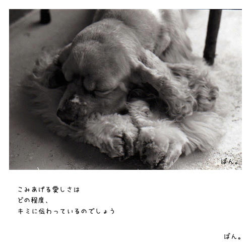 itoshii.jpg