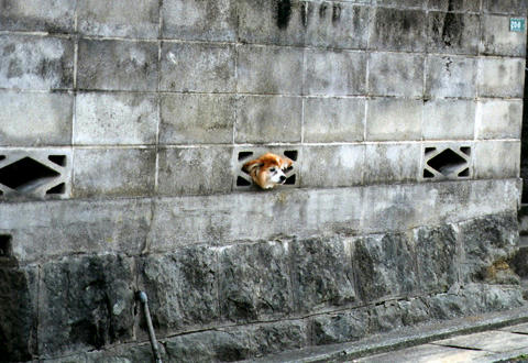 wan1.jpg