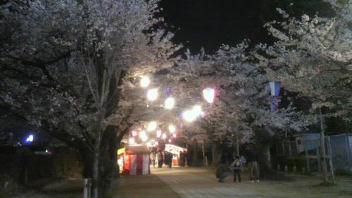 2012041019360001.jpg