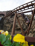 200603026066.jpg