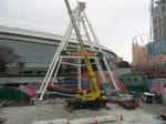 TDC20120208018.jpg