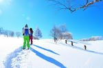 snow3.jpg