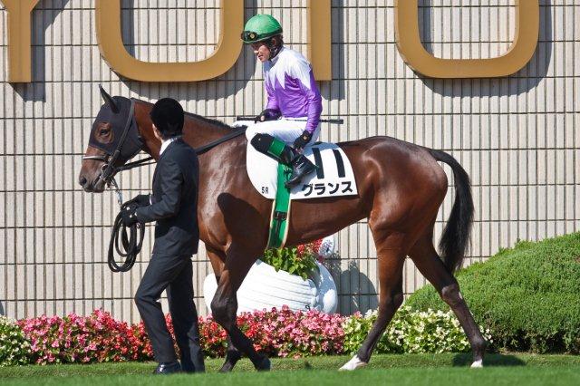 グランス　写真　競馬
