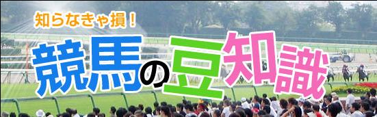 ダービープレミアム　豆知識