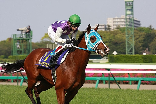 アーリーロブスト