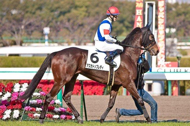アスカトップレディ　２００９