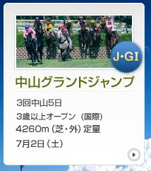 中山グランドジャンプ　ＧⅠ