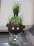 2010.0115.jpg