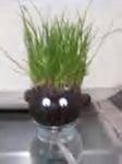 2010.02.05.jpg