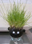 2010.03.17-2.jpg