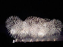 45902228_small_v1281708744.jpg