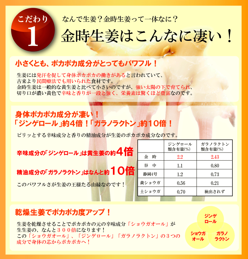金時生姜はすごい