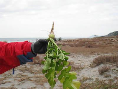 2008.1.14-5.jpg