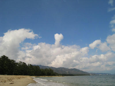 9c0d1c73.jpg