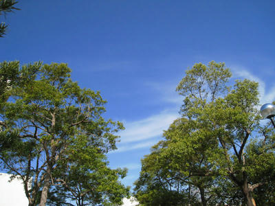 66e91e87.jpg
