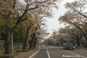 IMGP5481.jpg