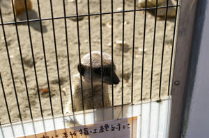 IMGP7049-1.jpg