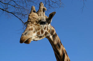 IMGP7039-1.jpg