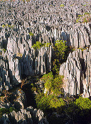 180px-Tsingy_de_Bemaraha.jpg