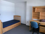 RIMG0309.JPG