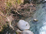 DSC01781.JPG