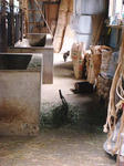 DSC02504.JPG