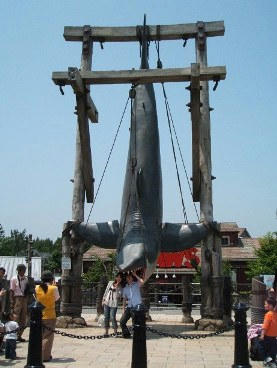 usj-04.jpg