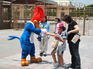 usj-08.jpg