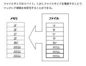 09512488.png