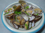 DSC01147.JPG
