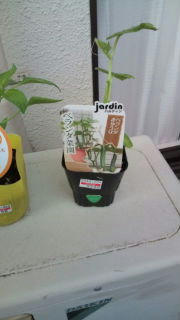 20100418114718.jpg