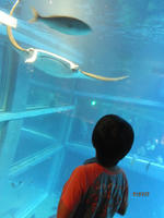 DSCF0305.JPG