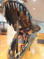DSCF0792.JPG