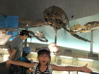 DSCF0825.JPG