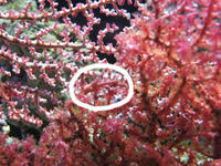 DSCF0875.JPG