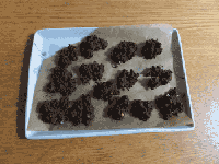 DSCF1120.gif