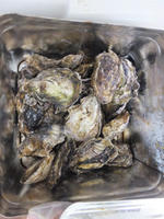 DSCF1519.JPG
