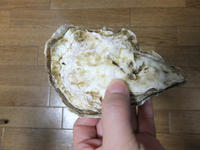 DSCF1521.JPG