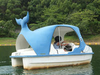 DSCF3511.JPG