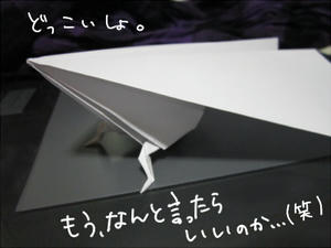 20121116.JPG