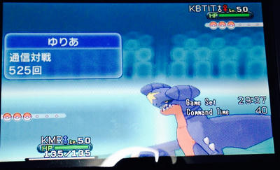 ポケットギガンテス ポケモンｘｙ日記その１