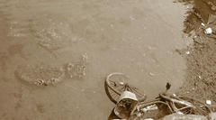 20090515135226.jpg