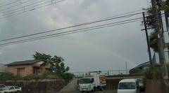 20090601163104.jpg
